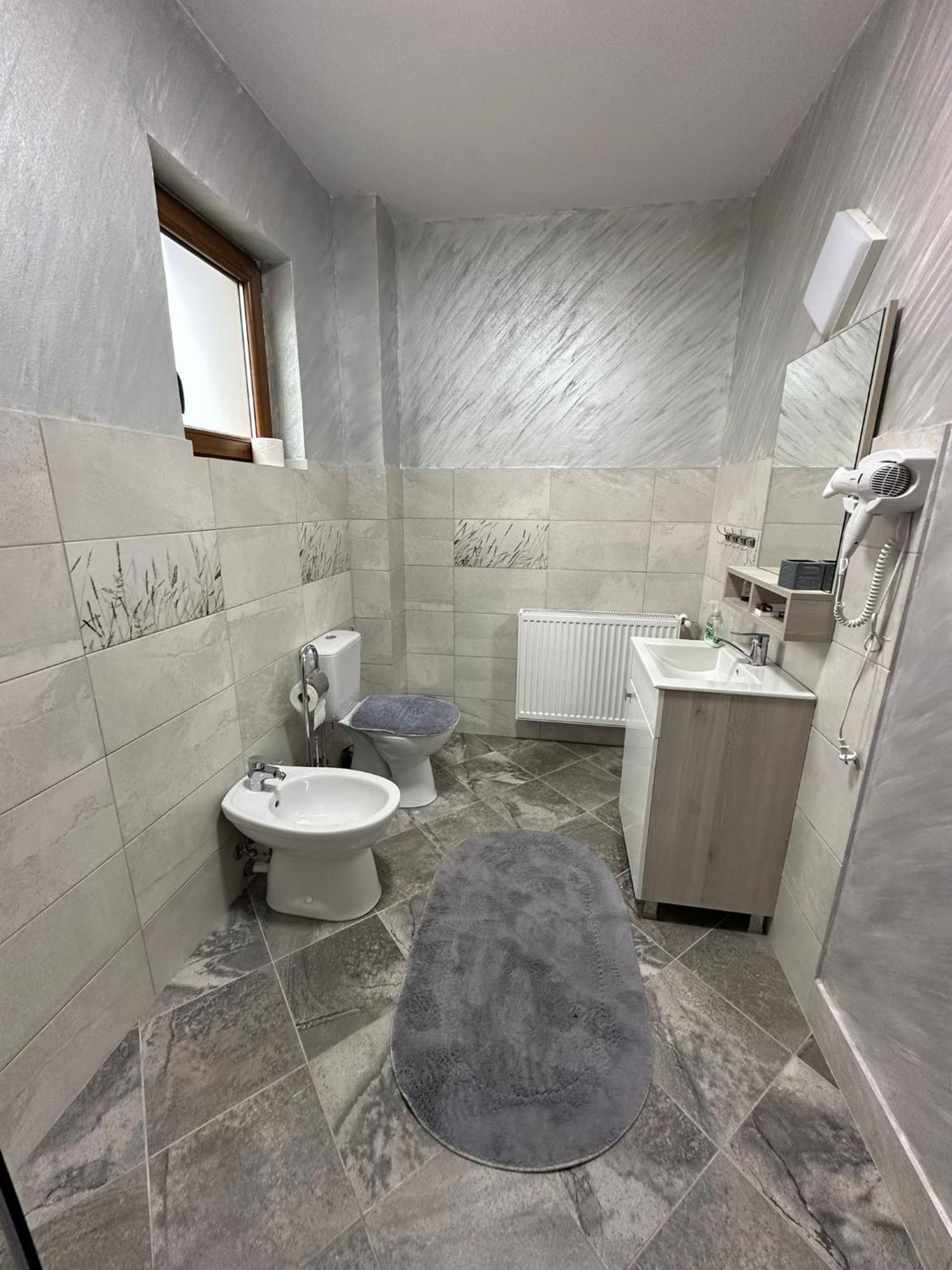Отель Casa Dacului Petrova Экстерьер фото